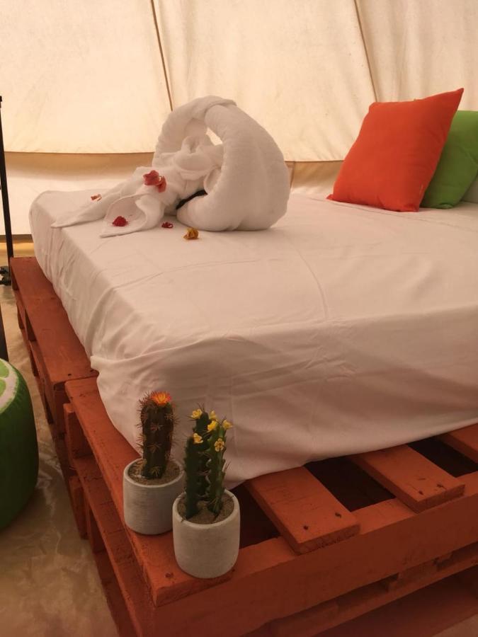 Glamping Due Amici Hotell Palomino Exteriör bild